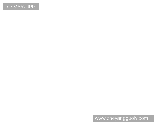 上海网球队转型纪实：从传统到现代的奋斗与蜕变之路