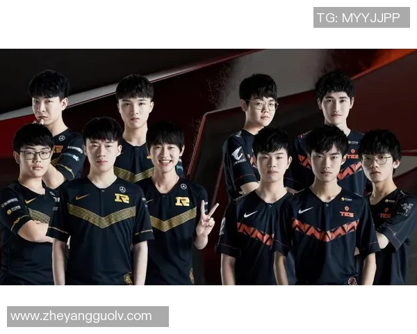 TES战队选手个人能力分析与表现评估探讨