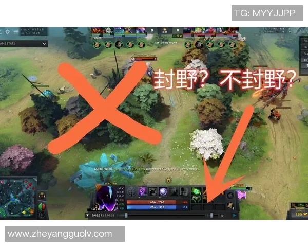 DOTA2战术分析：深入探讨JDG边路渗透策略与执行效果