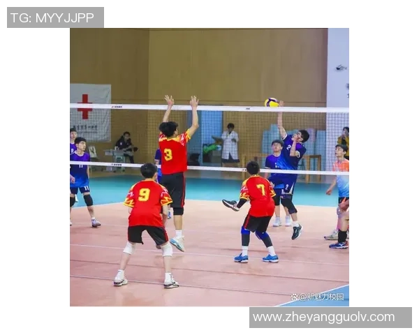 排球盛宴：深入南京排球队的比赛经验与成长之路