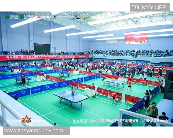 聚焦乒乓球：探讨西安乒乓球队的意识形态与发展路径