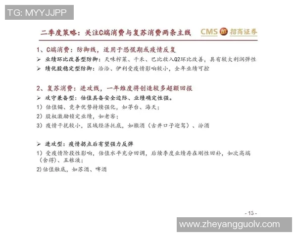 专业解析LNG战队的防守策略与战术布局探讨