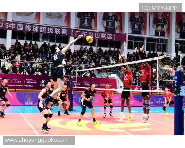 南京排球队灵活性变革引发热议助力球队新篇章 南京排球队灵活性变革引发热议助力球队新篇章