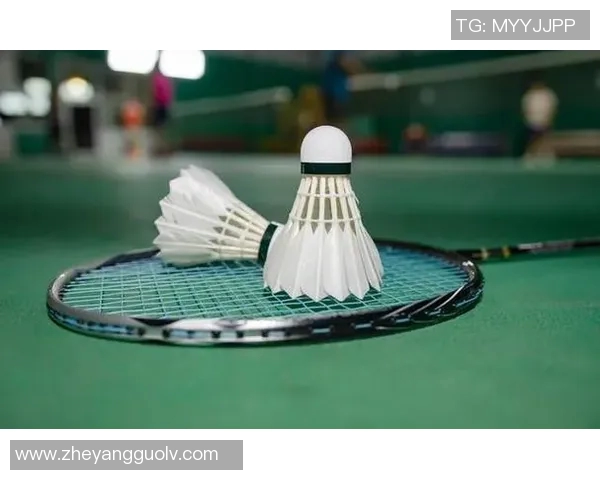 深入解析杭州羽毛球队战术表现的关键数据与策略优化