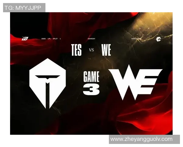赛后分析:WE与TES实力对比及未来发展趋势探讨