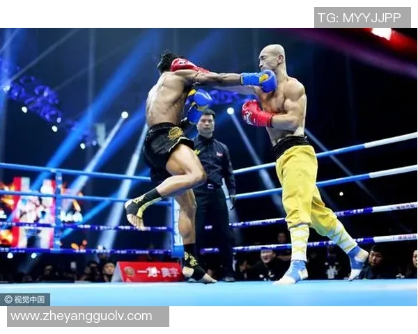 播求与邹市明巅峰对决谁将成为拳坛传奇的王者之争