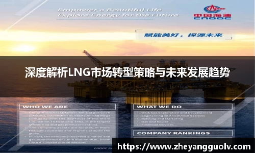 深度解析LNG市场转型策略与未来发展趋势